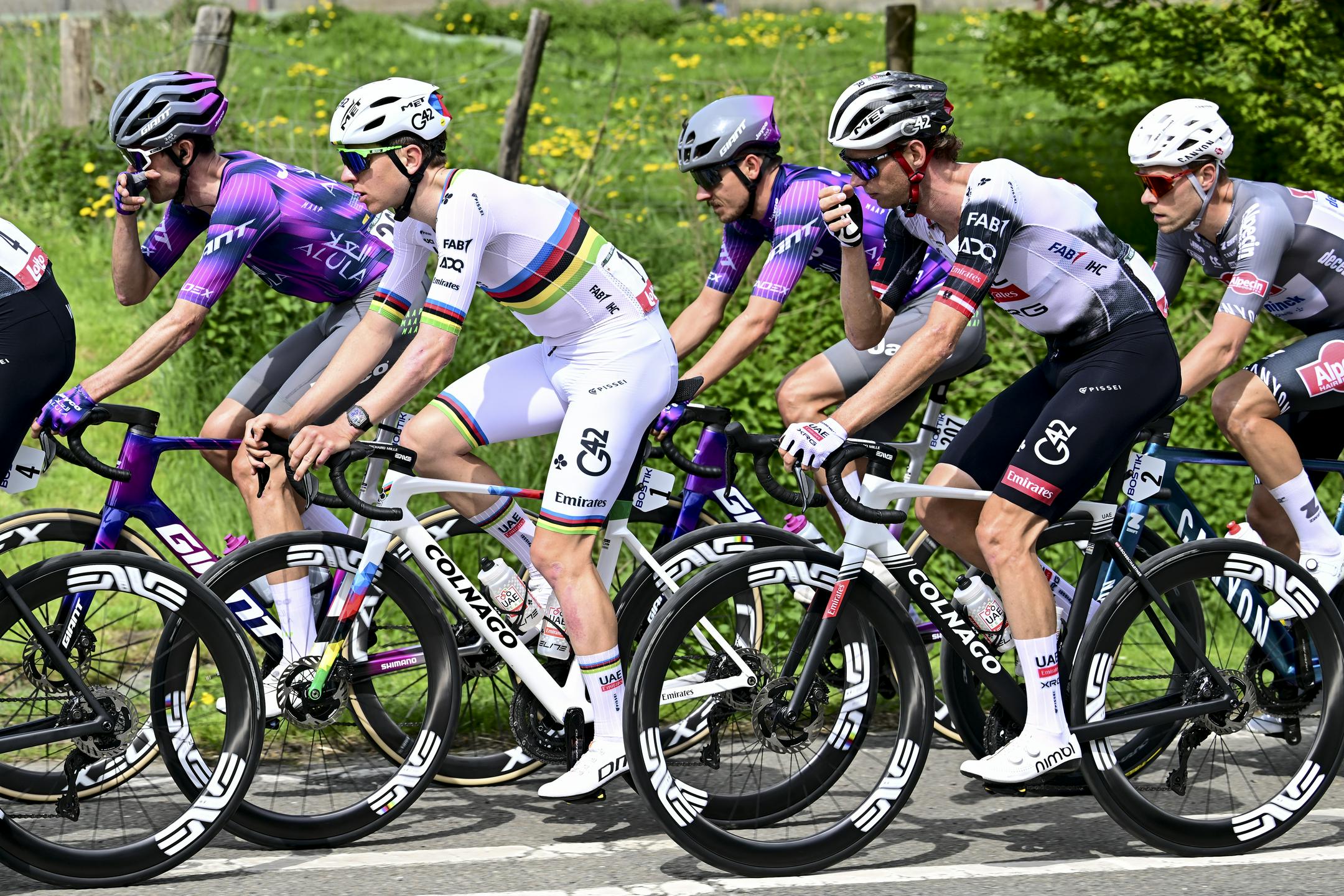 Pogačar v Ardenih v lov na svoj 13. kolesarski spomenik