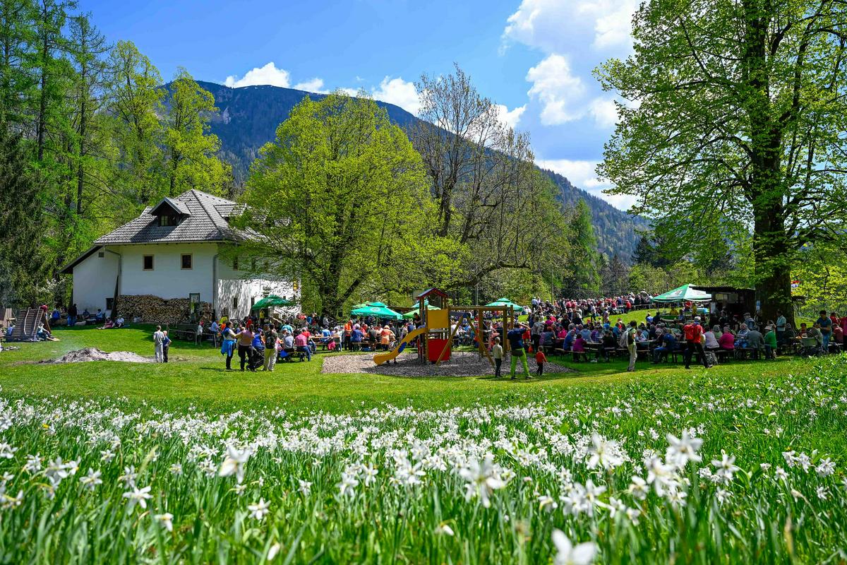 Druženje ob prazniku dela na Jesenicah. Letos je praznovanju naklonjeno tudi vreme s sončnimi in toplimi dnevi. Foto: BoBo/Nik Bertoncelj Druženje ob prazniku dela na Jesenicah. Letos je praznovanju naklonjeno tudi vreme s sončnimi in toplimi dnevi. Foto: BoBo/Nik Bertoncelj