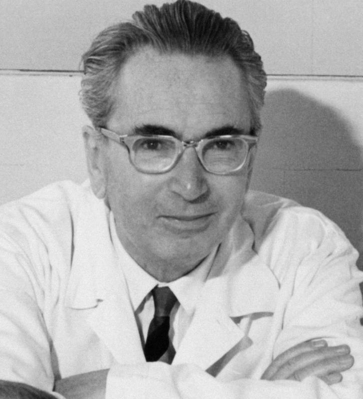 Viktor Frankl: Kljub vsemu rečem življenju da