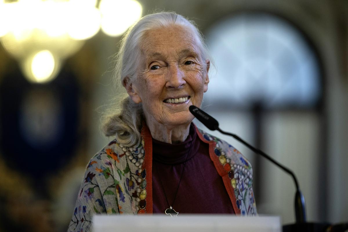 Jane Goodall