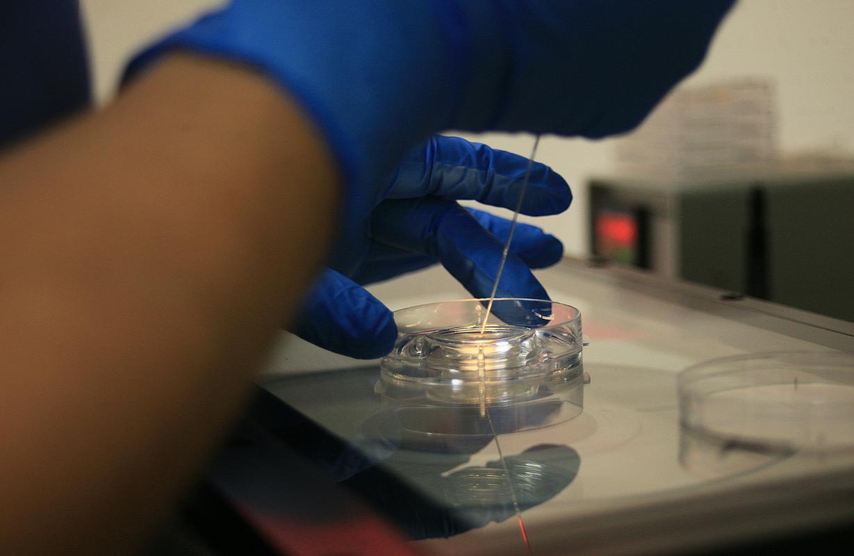 Začel je veljati zakon o oploditvi z biomedicinsko pomočjo