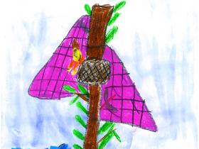 Sofija Epšek Foto: Radio Slovenija/Radio Slovenija