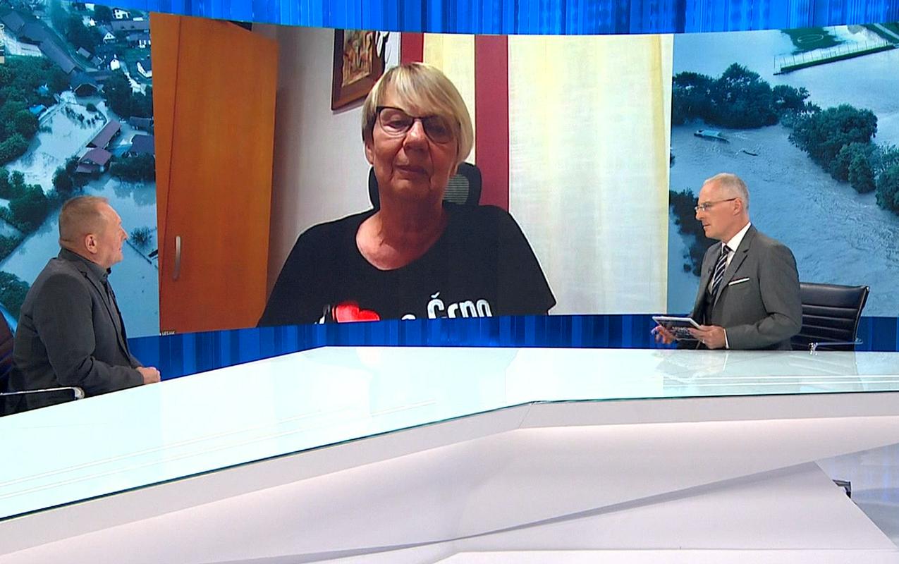 Romana Lesjak: Marsikje se še vedno ustavlja pri pikah in vejicah. Naraločnik: Živeti moramo naprej.