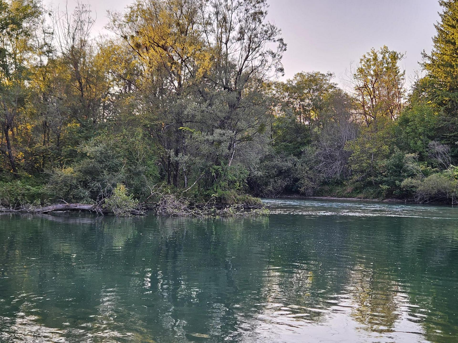 Radovljiški župan: Najbolje bi bilo, da bi zemljišča ob sotočju Sav odkupila država