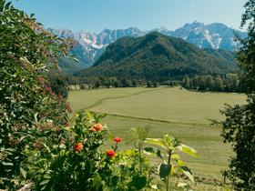  Foto: TV Slovenija/Adrian Pregelj
