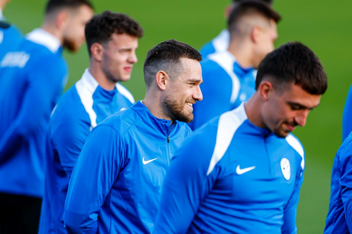 Elšnik: S petkovo predstavo v Prištini si moramo polne Stožice najprej zaslužiti