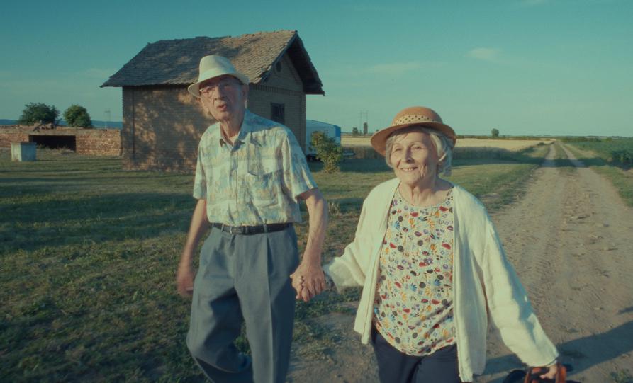 Insajderski namigi: od torte za Sadama Huseina do Žilnikovega "vrelca anarhične energije"