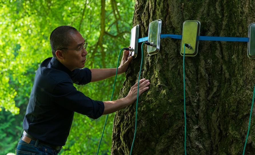Insajderski namigi: med fikcijo in dokumentarnim, med filmom ceste in groteskno komedijo