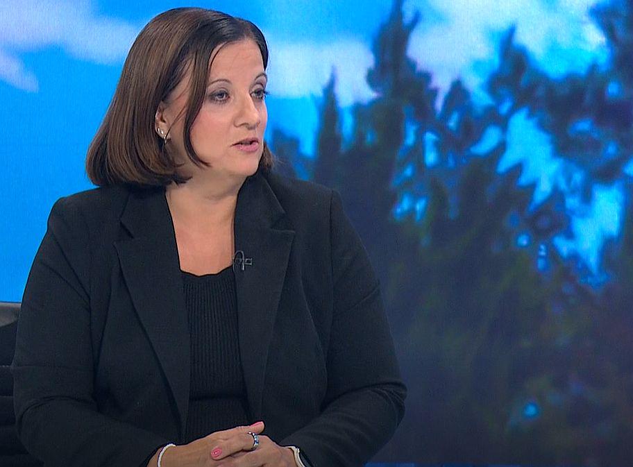 Jelena Juvan: Ukrajinske izkušnje v boju proti brezpilotnikom so zelo dragocene za Evropo