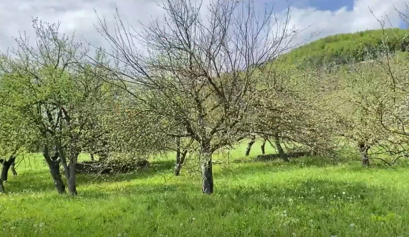 Pestra Jabolčna pot predstavlja naravno in kulturno dediščino Kozjanskega