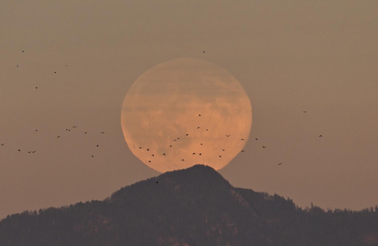 Nočno nebo osvetlila najsvetlejša superluna od leta 2019
