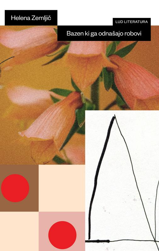 Helena Zemljič: Bazen, ki ga odnašajo robovi