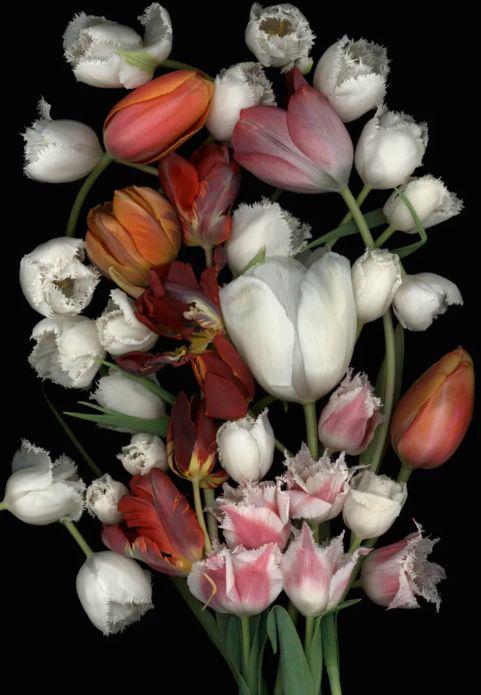 Luzia Simons z rožami odpira premislek o kulturni identiteti in lepoti v času globalizacije