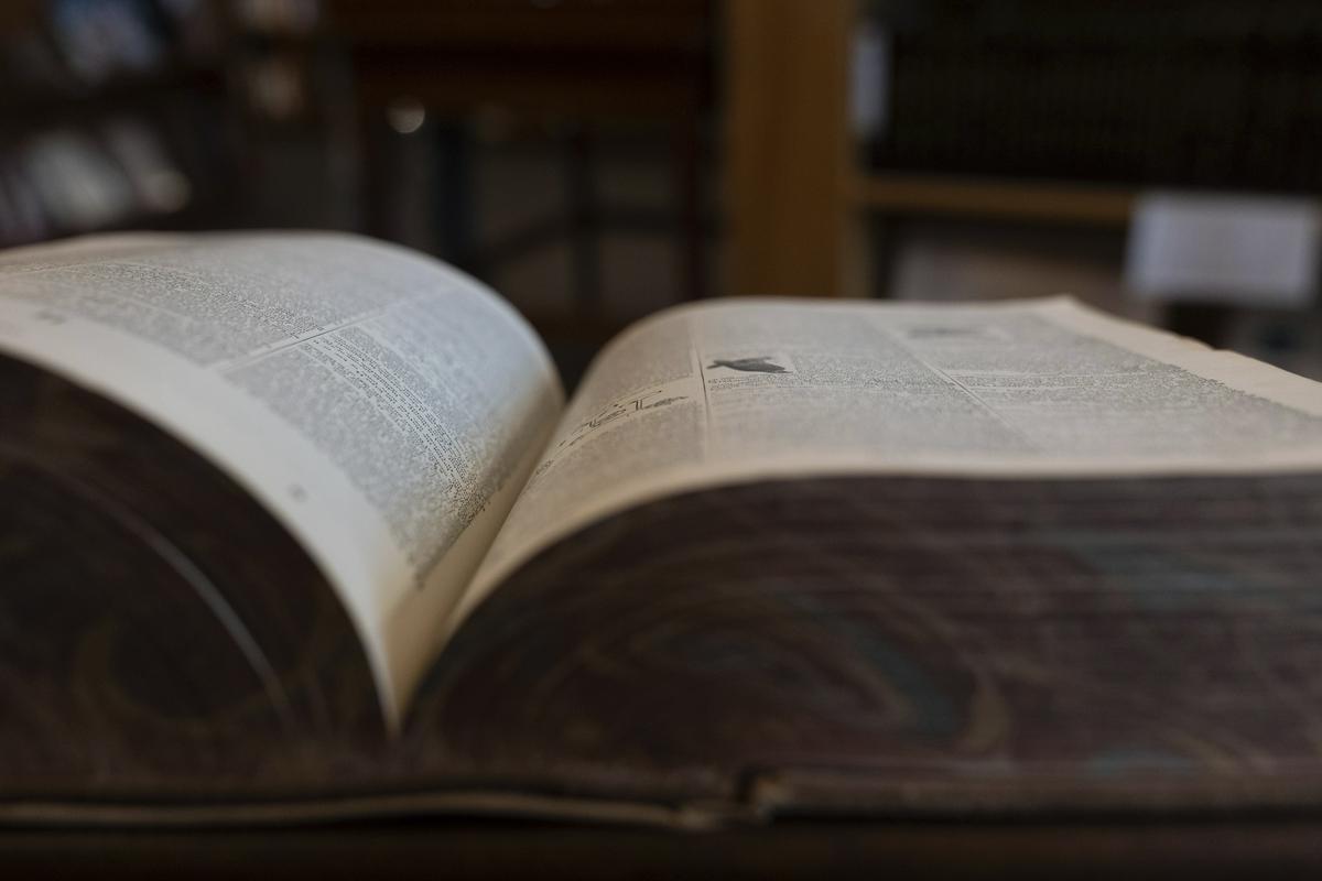 Cambriški slovar kot besedo leta naznanil pridevnik parasocialen