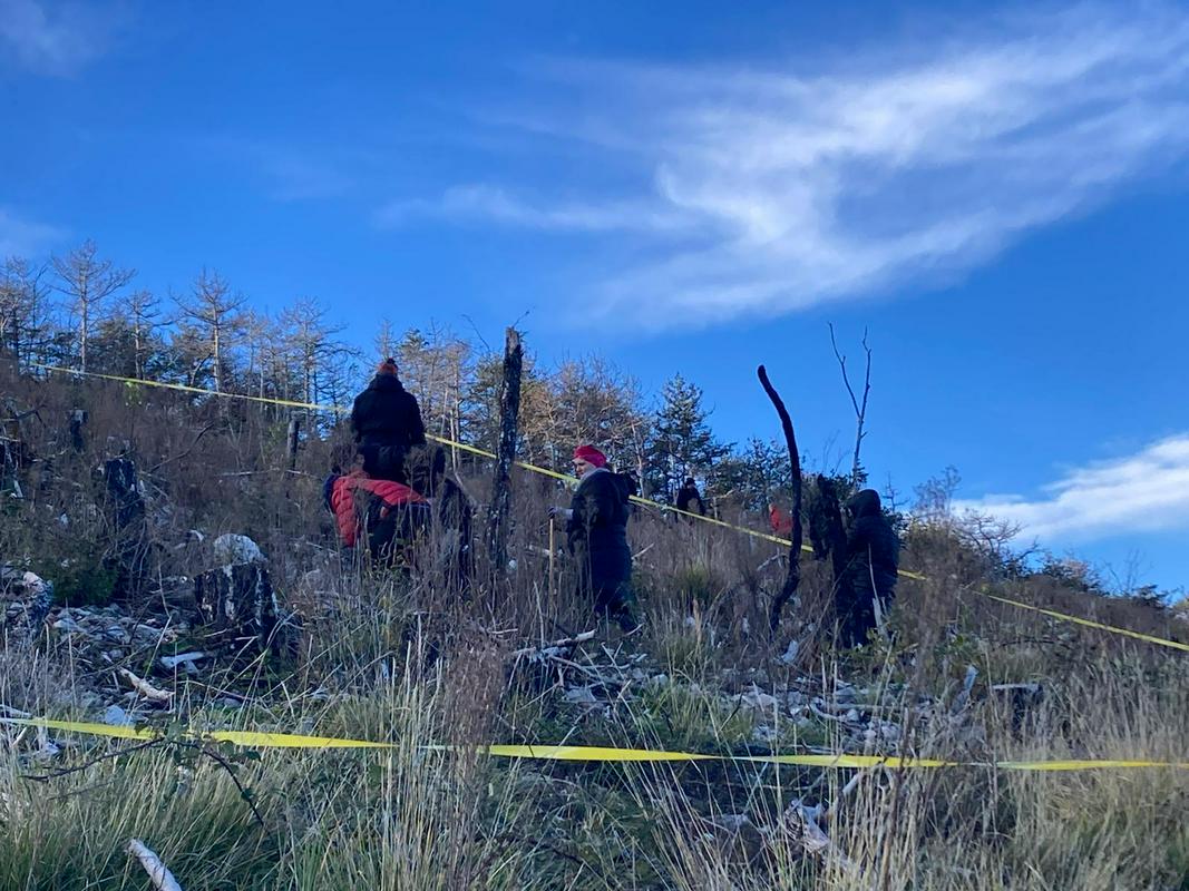 Na Krasu 200 prostovoljcev sodelovalo pri obnovi gozda po uničujočem požaru