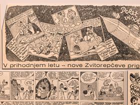  Foto: Žiga Živulović/BoBo