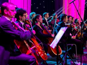  Foto: Adrian Pregelj / RTV Slovenija