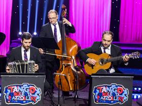  Foto: Adrian Pregelj / RTV Slovenija