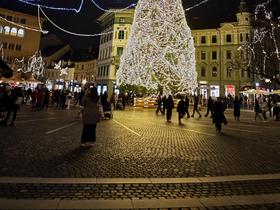 Prešernov trg. Foto: Tanja Mojzer