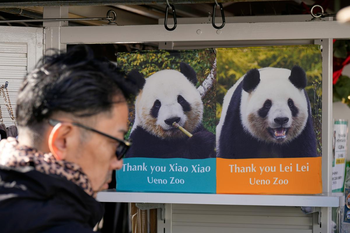 Japonska bo prvič po letu 1972 ostala brez pand