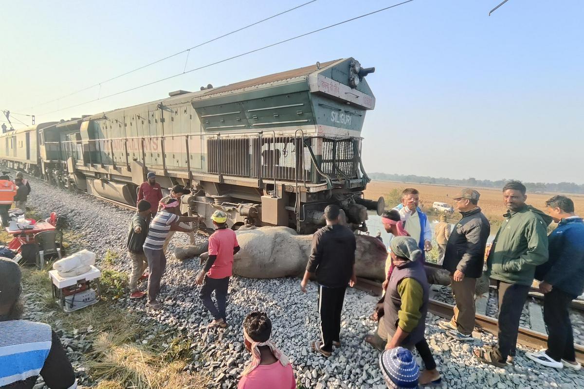 V trčenju vlaka v Indiji umrlo sedem slonov