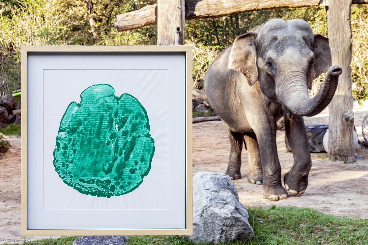 Praznovanje Ganginega abrahama se zaključuje z dražbo odtisa njene stopinje