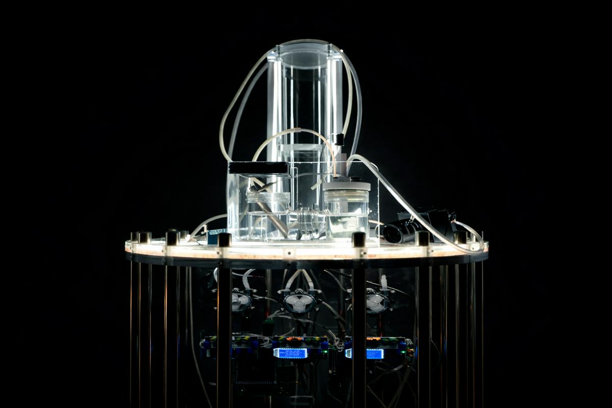 Lahko kisik nastaja tudi 4000 metrov pod morjem? Miha Godec raziskuje globokomorsko uganko.