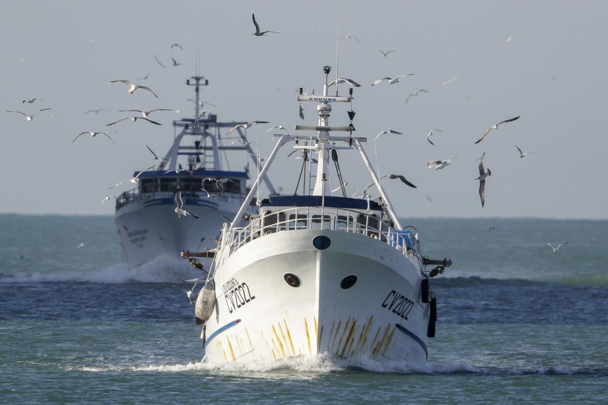 Italija vzpostavila izključno gospodarsko cono v Jadranu. Slovenija predlaga srečanje ministrov.