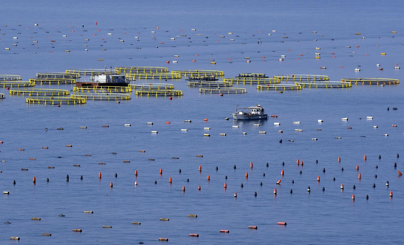 Italija vzpostavila izključno gospodarsko cono, slovenski interesi naj ne bi bili okrnjeni