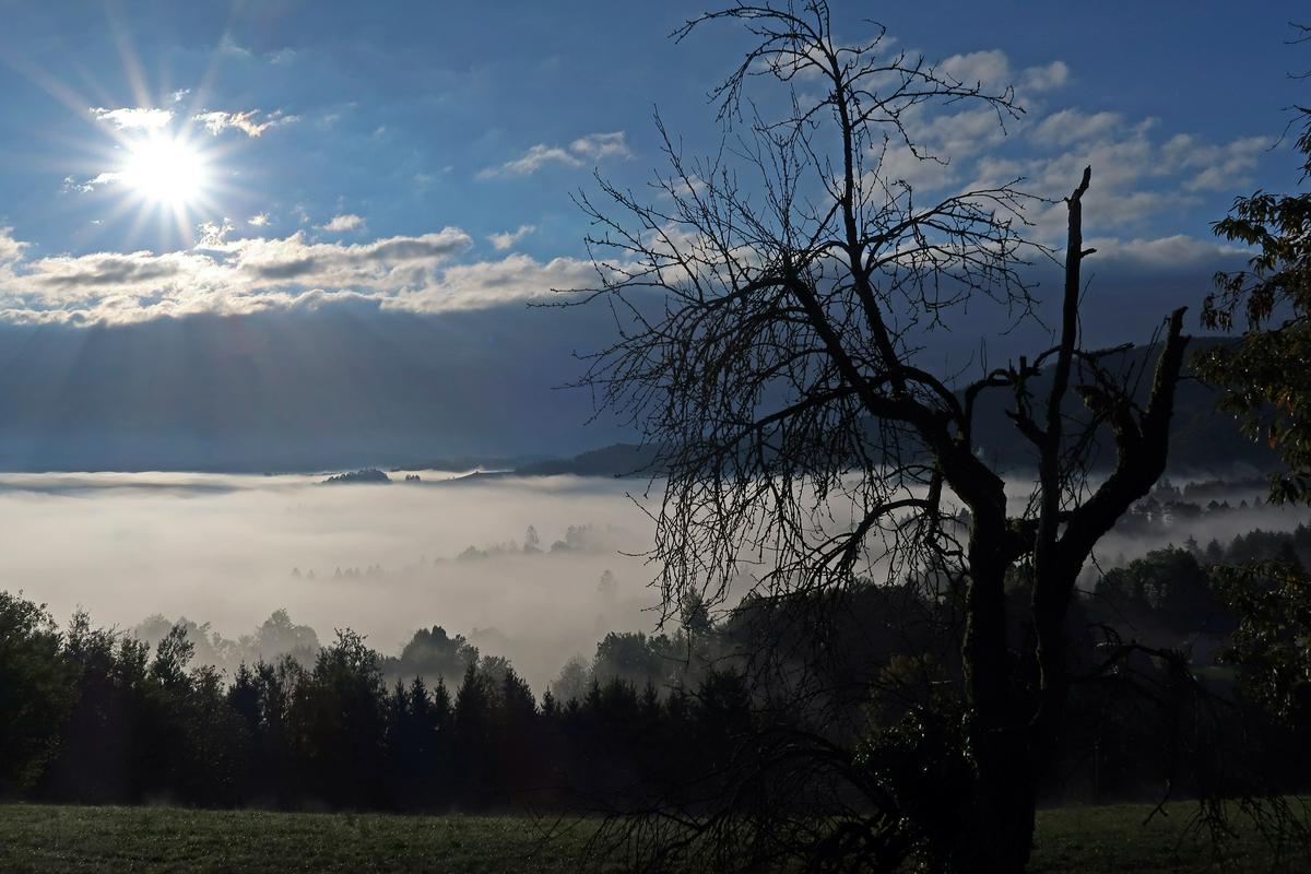 V Sloveniji lansko leto četrto najtoplejše v zadnjih 75 letih, izstopal je predvsem junij