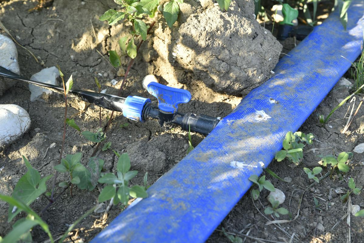 Kmetijska ministrica naklonjena gradnji namakalnega sistema v Kidričevem, a denarja še ni dovolj