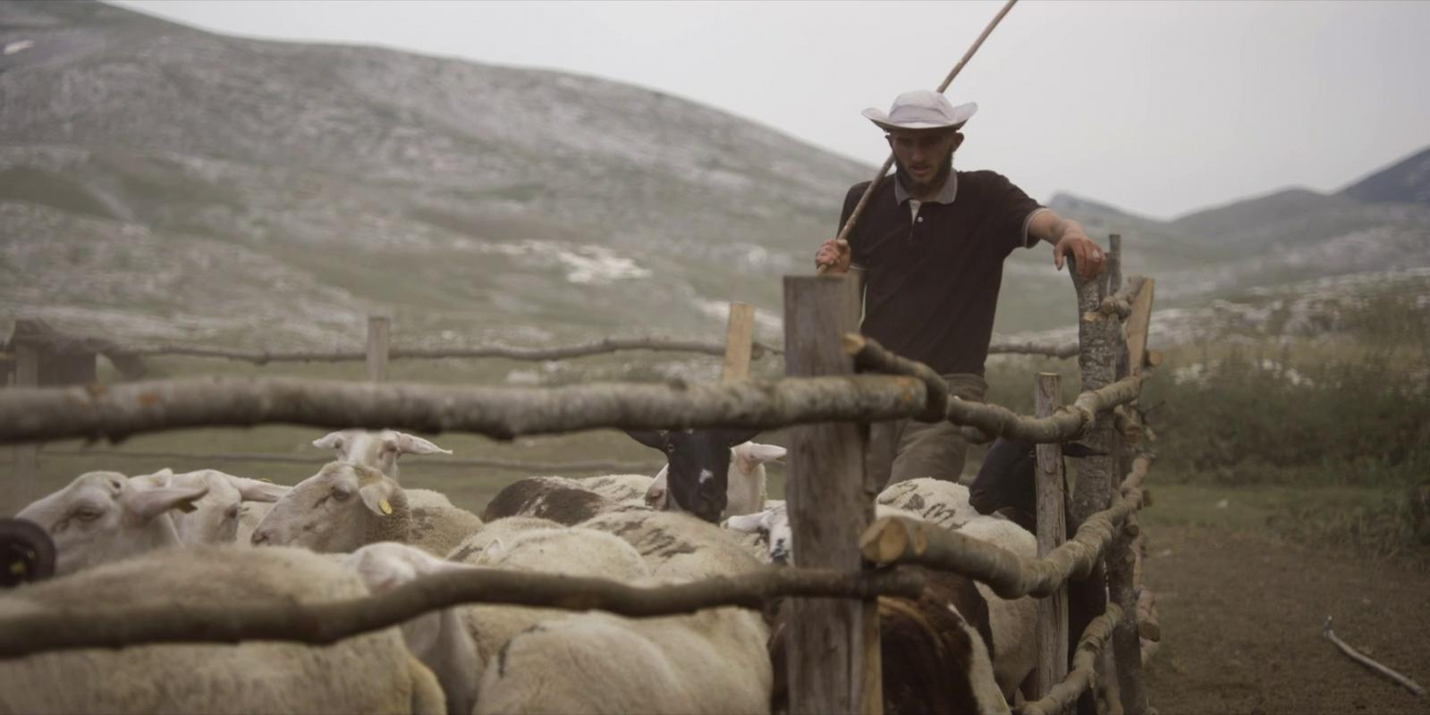 Gora se ne bo premaknila, mi se bomo h gori: v kinematografe prihaja novi film Petre Seliškar