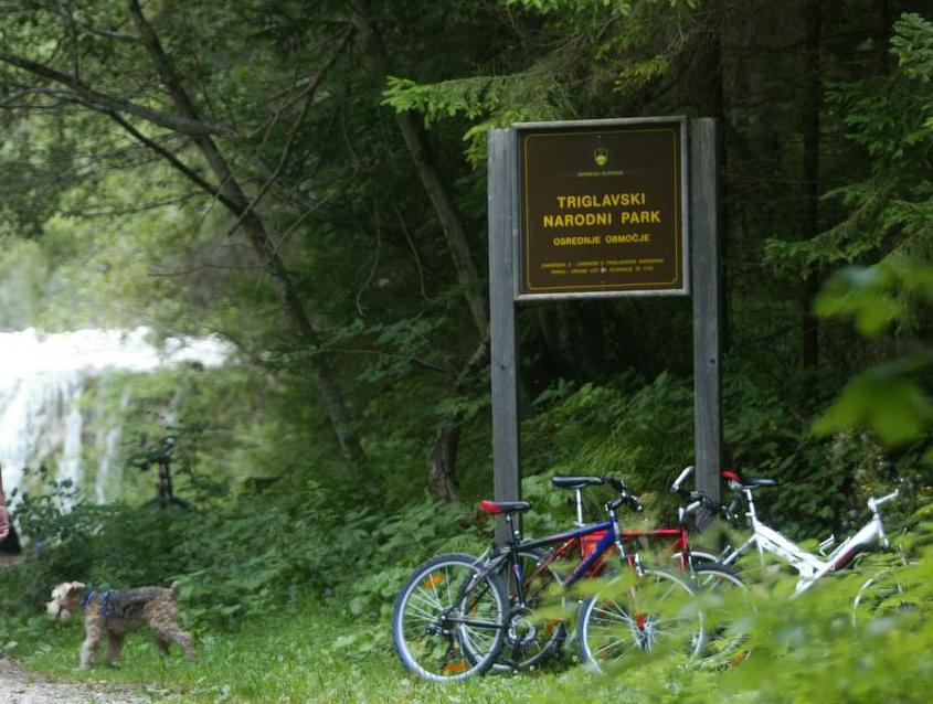 Zavod Triglavski narodni park brez direktorja, vlada še ni imenovala novega