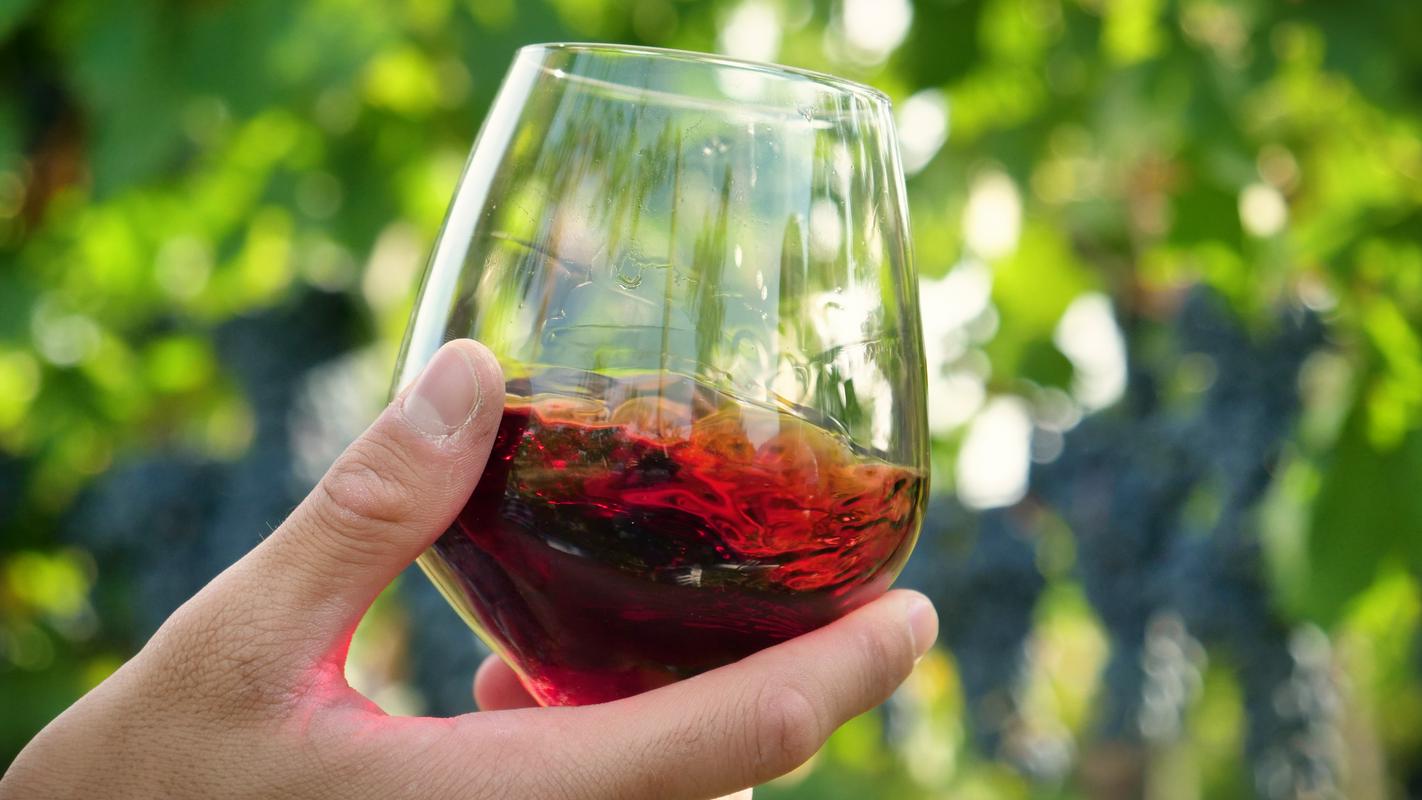 Vroča poletja in hude suše spreminjajo tudi vinsko industrijo: v Bordeauxu v ospredje stopa klaret