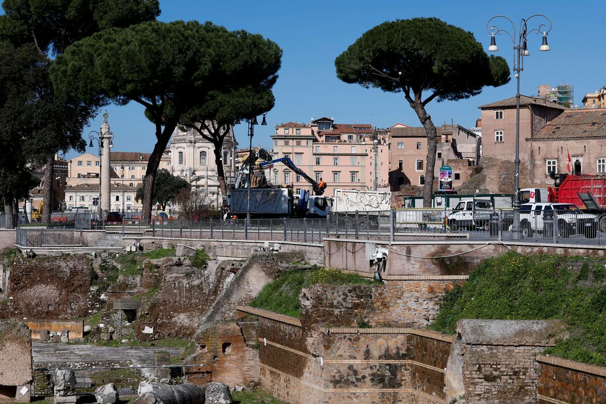 V Rimu zaradi varnosti sekajo mogočne pinije blizu Koloseja