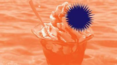 Nejc Pohar: Jadran za Slovence, Slovenci na Jadranu