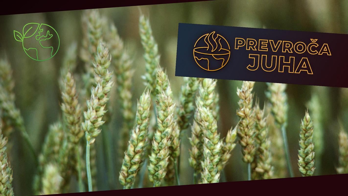 Miti in tviti o podnebnih spremembah