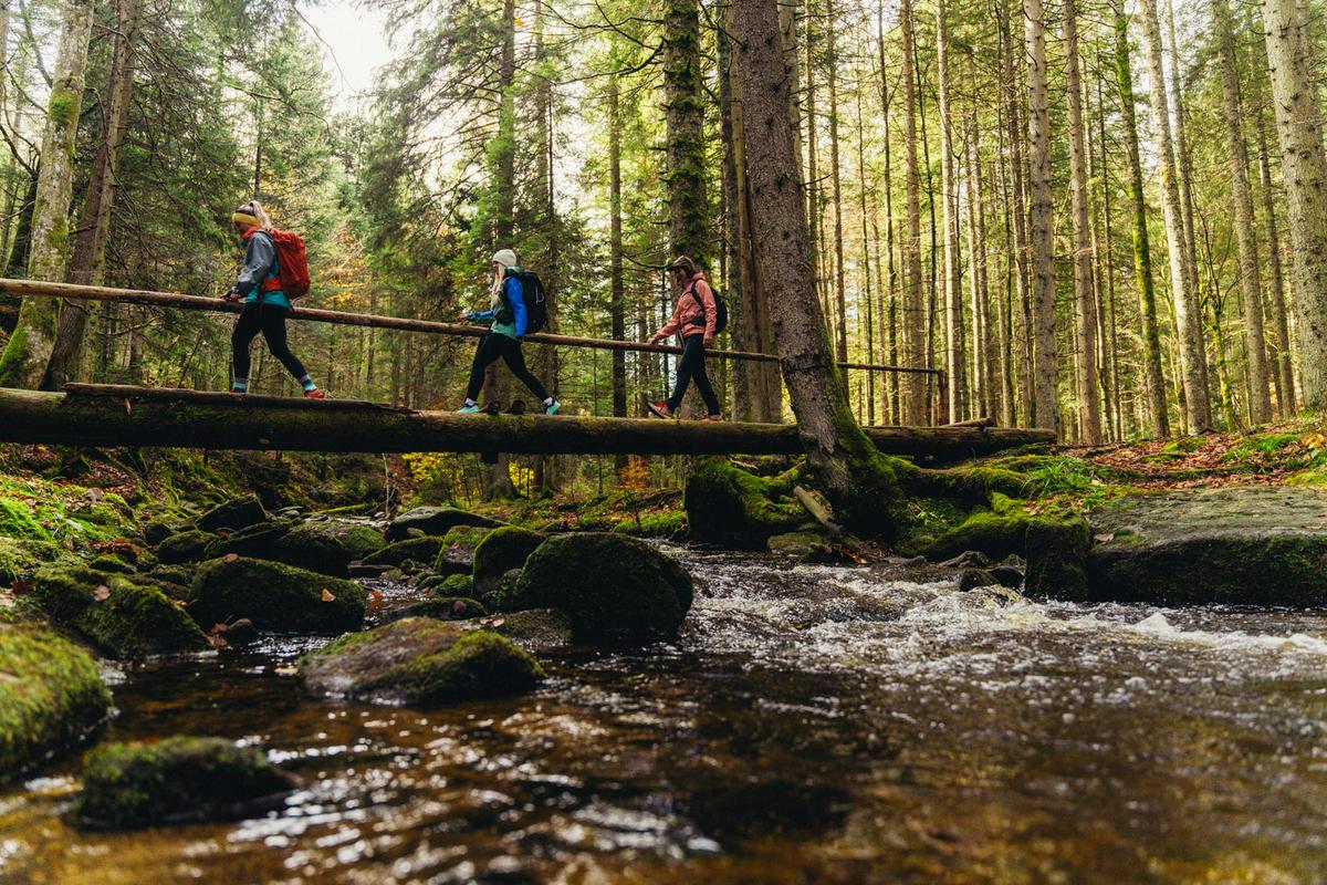 Kam na zrak? Na Pohorje–Kozjak Trail, novo pohodniško pot, 
