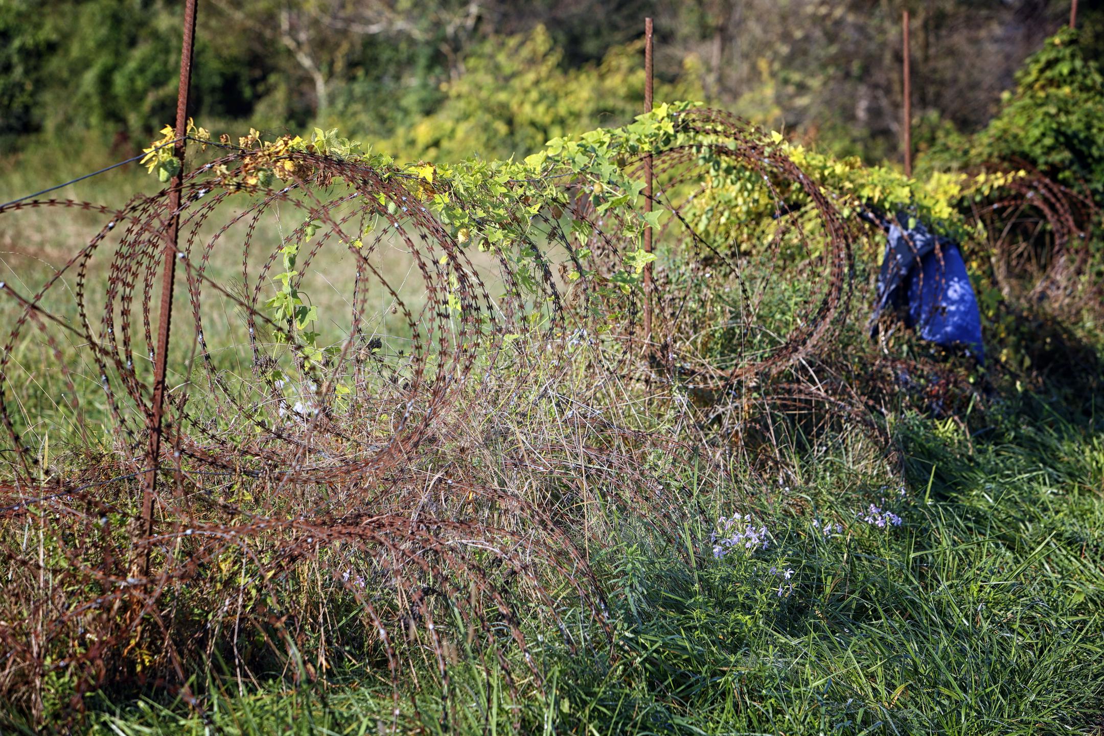 So tuji delavci upravičeni do tečaja slovenščine? Ali vse begunce obravnavamo enako?