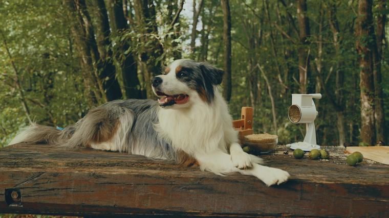  Foto: iz serije Šnofki