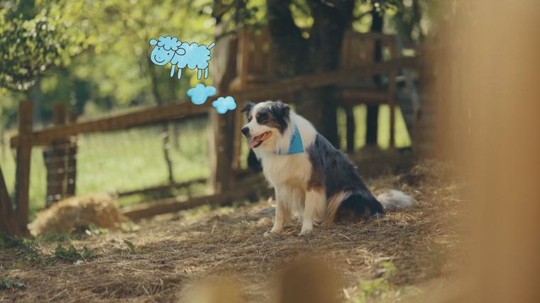  Foto: iz serije Šnofki