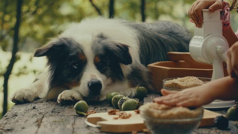  Foto: iz serije Šnofki