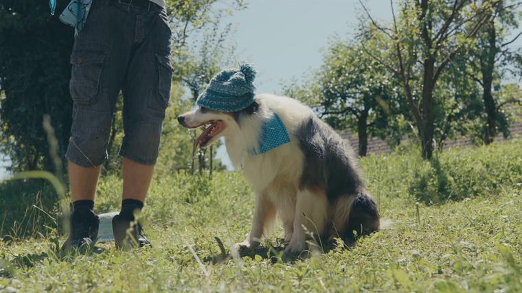  Foto: iz serije Šnofki