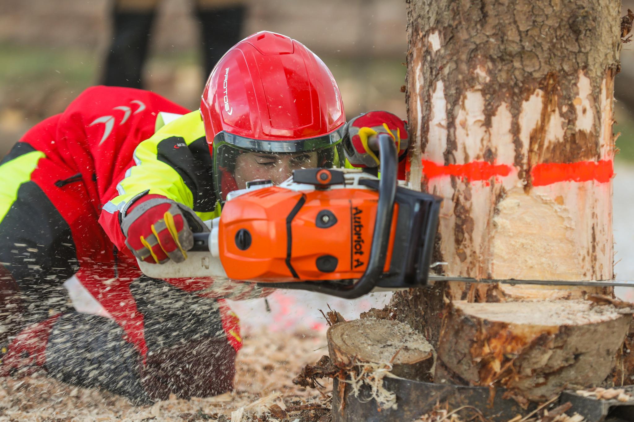 Slovenci kraljevali na svetovnem gozdarskem prvenstvu