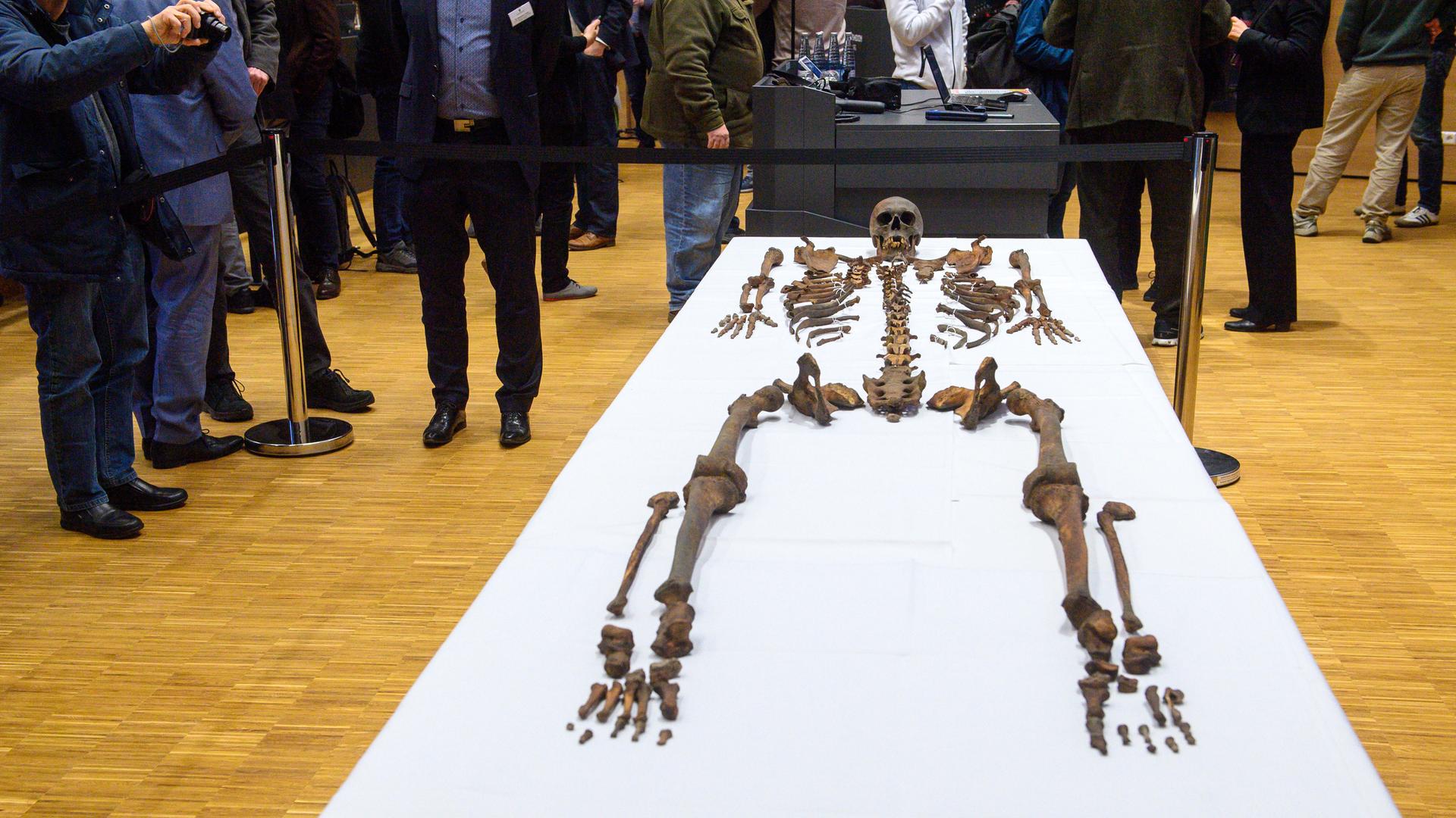 DNK-analiza razkrila, da okostje v magdeburški katedrali skoraj zagotovo pripada Otonu I. Velikemu