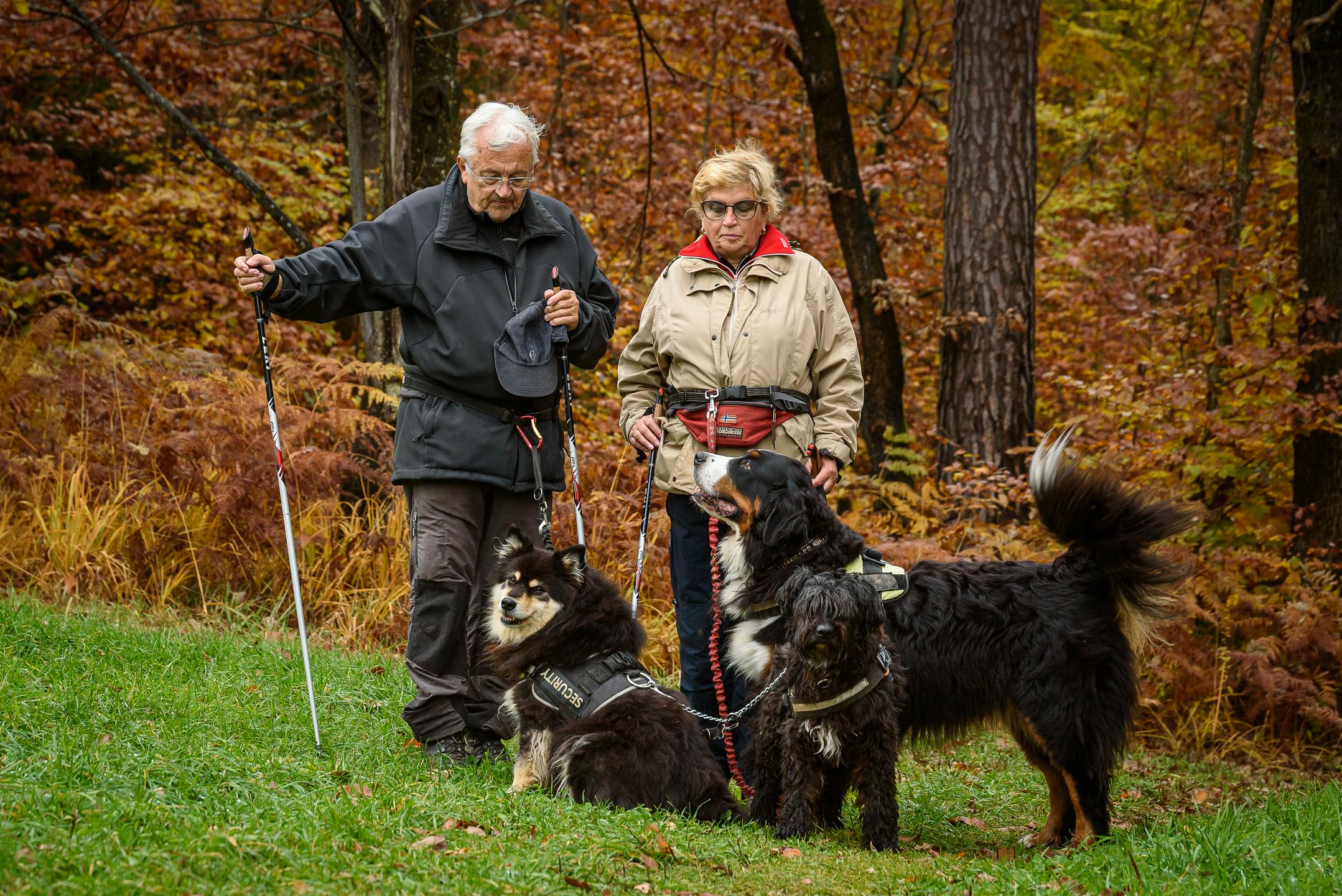 Ah, ta leta! – Ljubljenček ali terapevt?