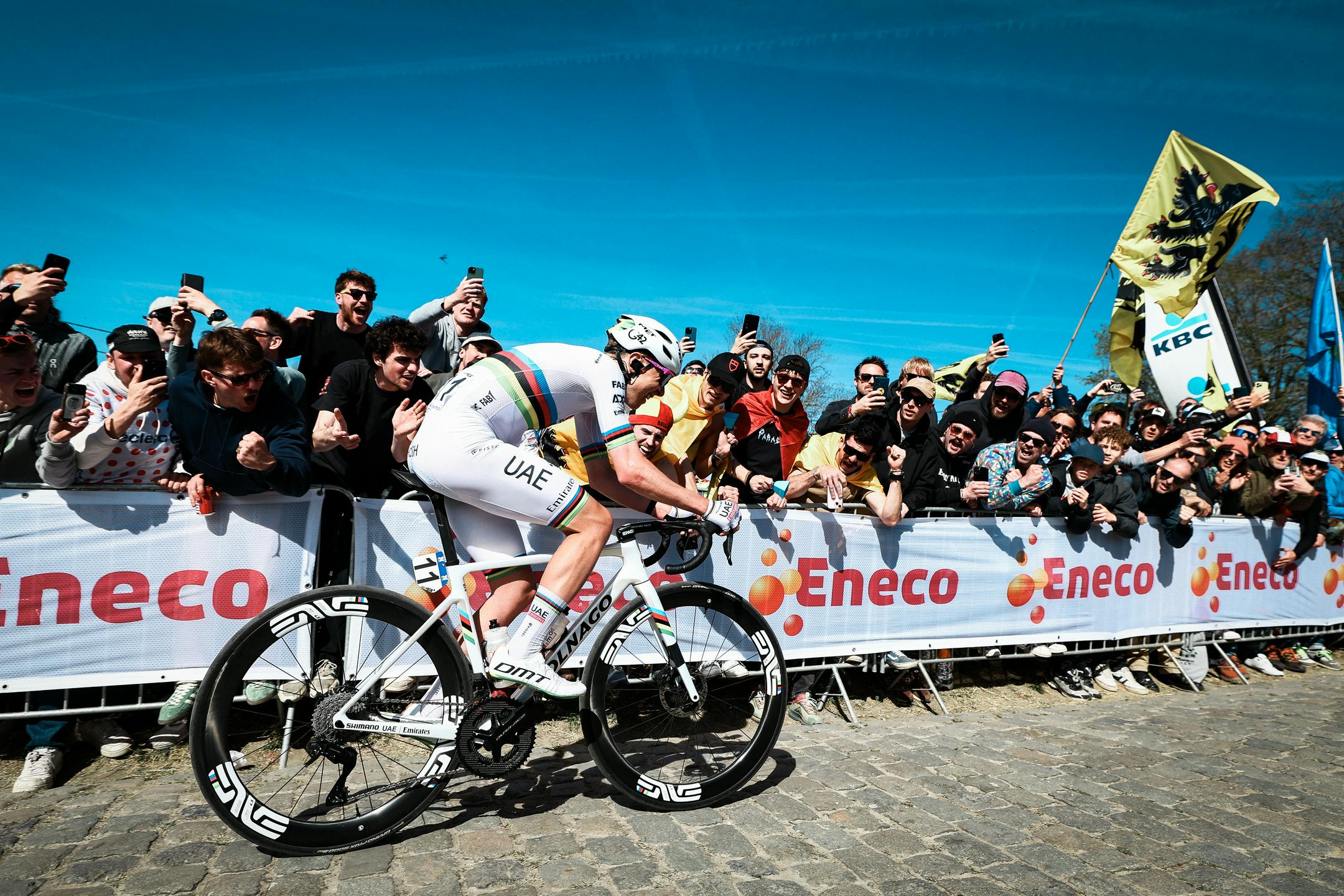 Pogačar in van der Poel na lovu za zgodovino flamske velike maše