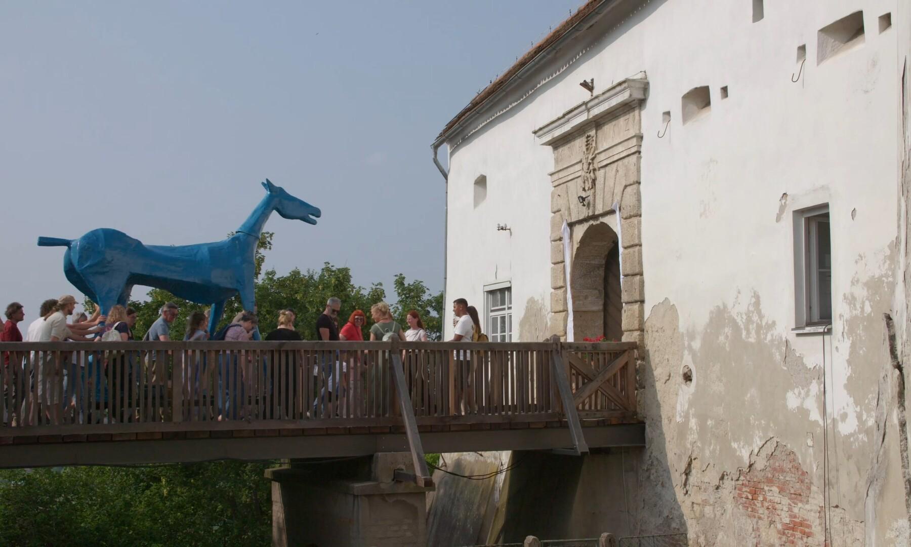 Kratki dokumentarec Modri konj želja odnesel glavno nagrado 26. Festivala neodvisnega filma