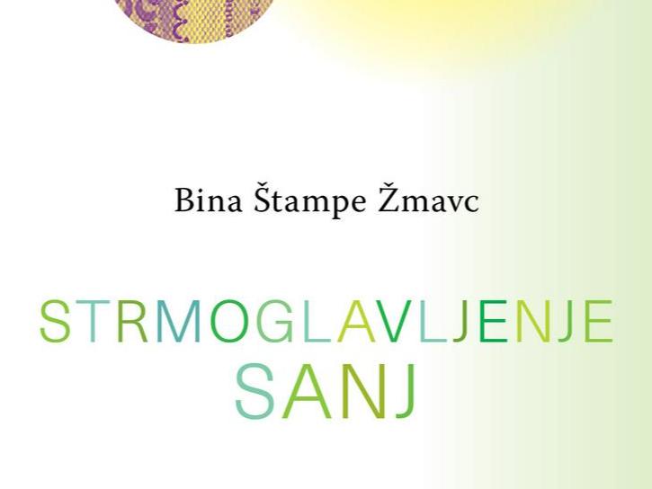 Bina Štampe Žmavc: Strmoglavljenje sanj