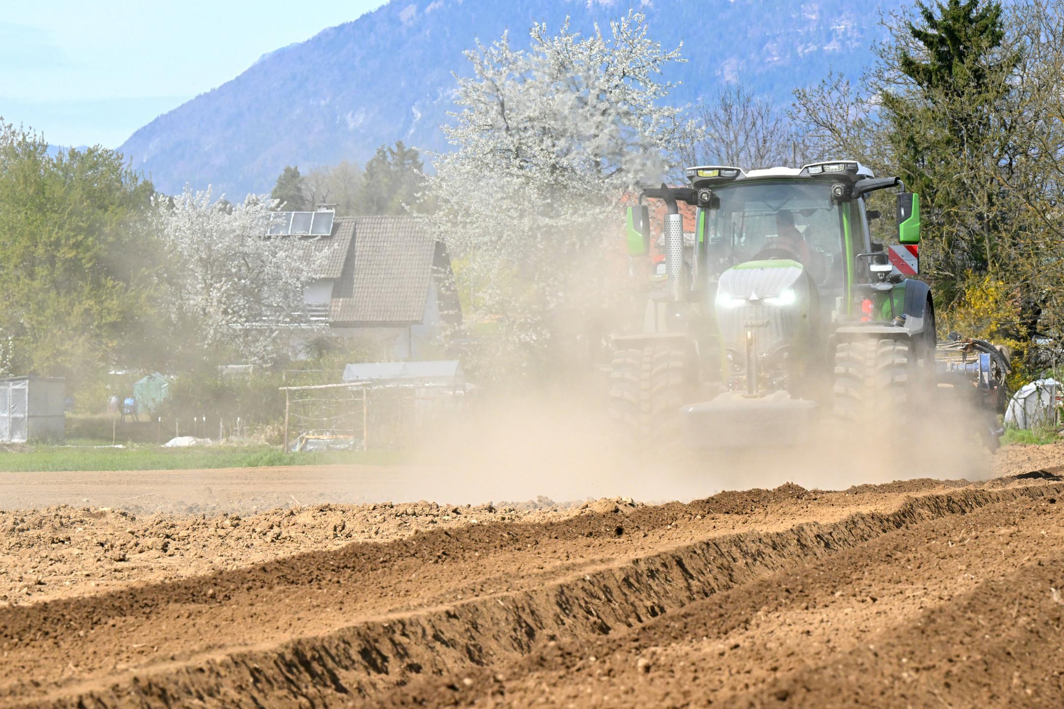 Mihelič: "Zelena" energija in "eko" kmetijstvo nista rešitev za draga gnojila